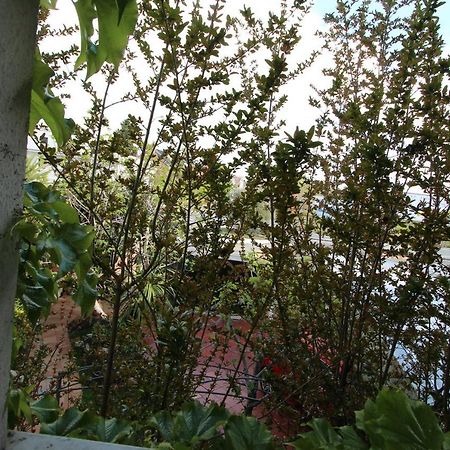 Paraiso Rooms Coliving Madrid Bagian luar foto